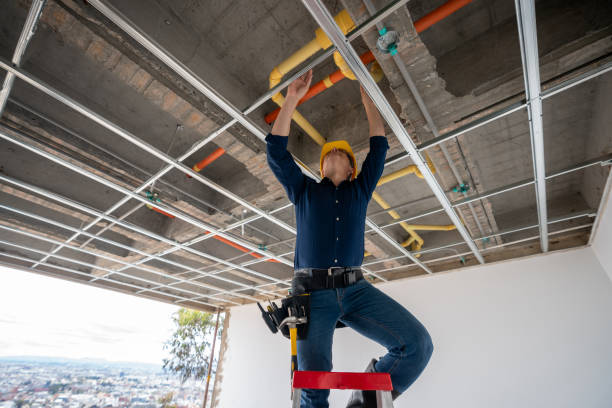 Best Emergency Plumber  in Woodville, AL